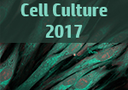 Three-dimensional cell culture: Innovations in tissue scaffolds and biomimetic systems logo