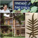 Plant Sciences Research Seminars logo