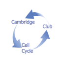Cambridge Cell Cycle Club Talks logo