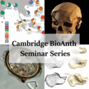 Biological Anthropology Seminar Series logo