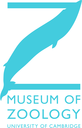 Discovery Talks at the Museum of Zoology logo